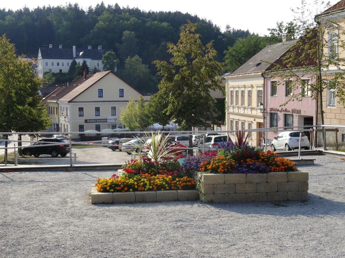 Gaestehaus Familie Loeffler - Ferienwohnung Am Stadtplatz In Litschau Exterior foto